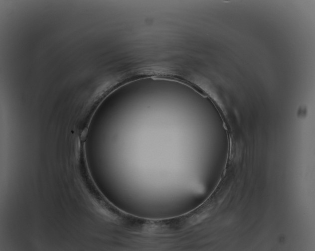 X0000096650109200802121141