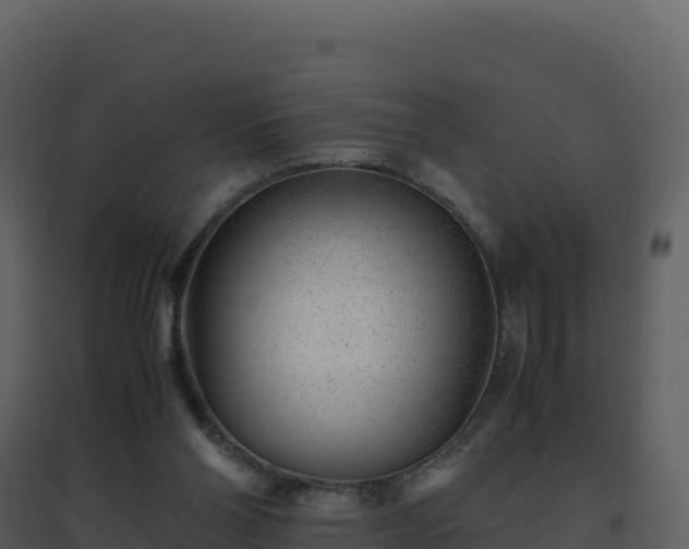 X0000096650110200802121141