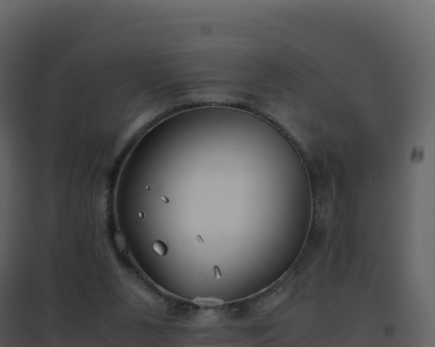 X0000096650111200802121141