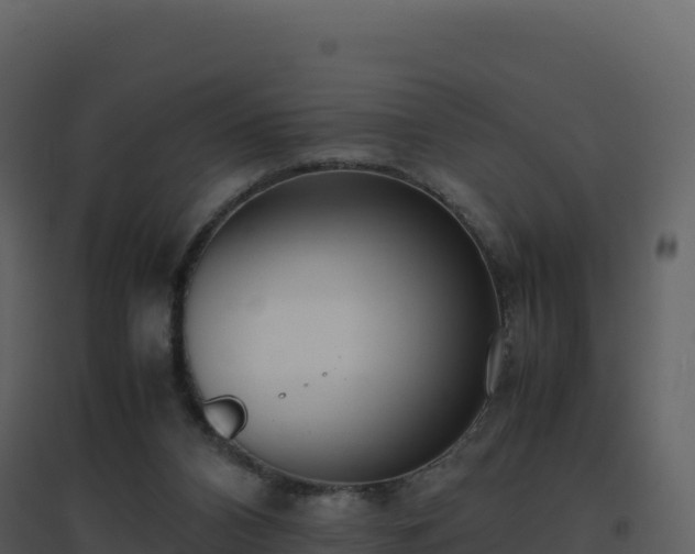 X0000096650112200802121141