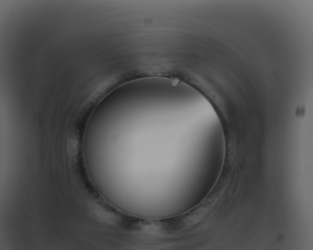 X0000096650113200802121141