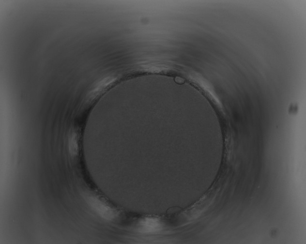 X0000096650114200802121141