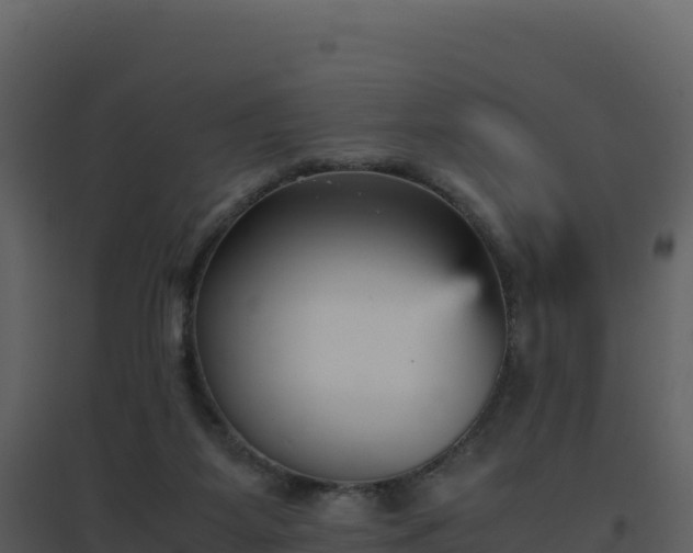 X0000096650115200802121141
