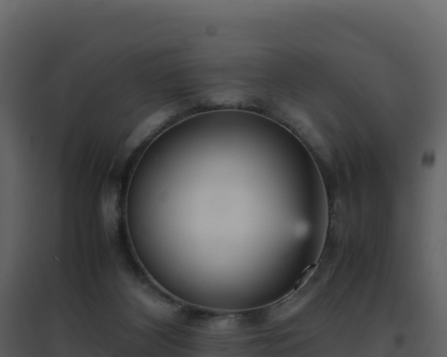 X0000096650116200802121141