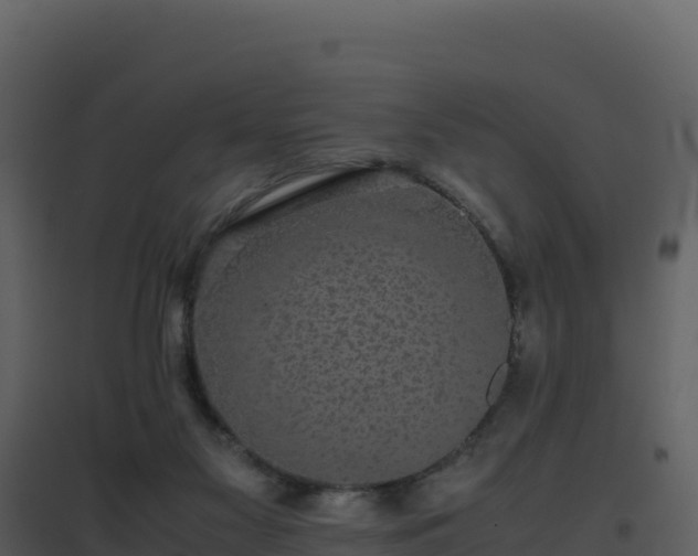 X0000096650117200802121141