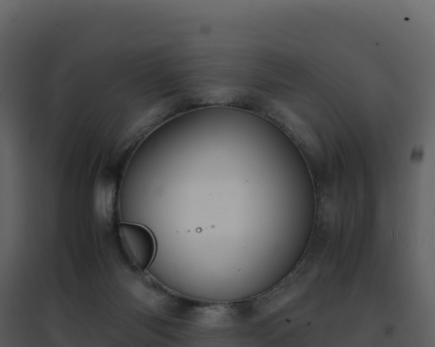 X0000096650118200802121141