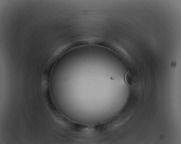 X0000096650119200802121141