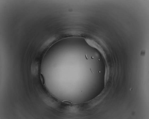 X0000096650120200802121141