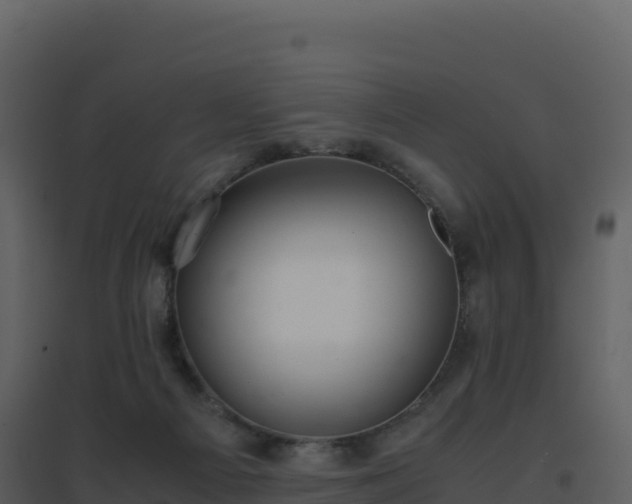 X0000096650121200802121141