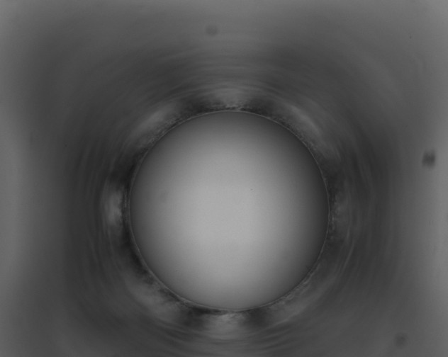 X0000096650122200802121141