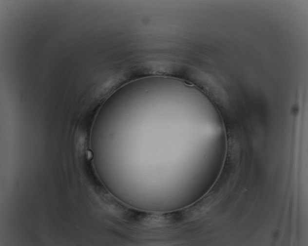 X0000096650123200802121141