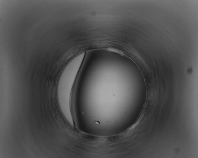 X0000096650124200802121141