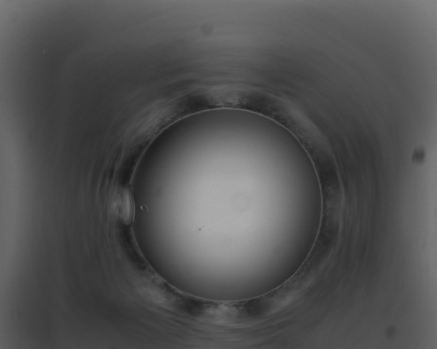 X0000096650125200802121141