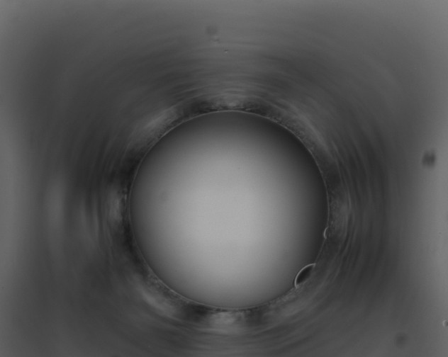 X0000096650126200802121141