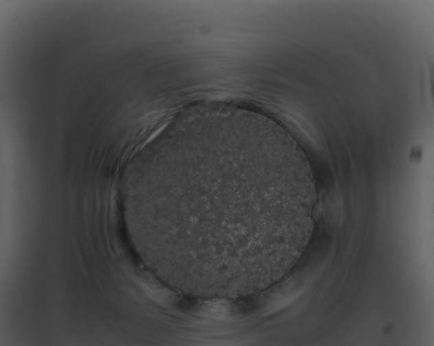 X0000096650127200802121141