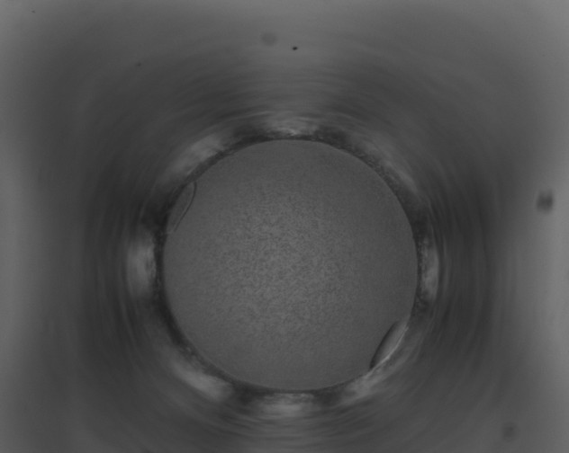 X0000096650128200802121141