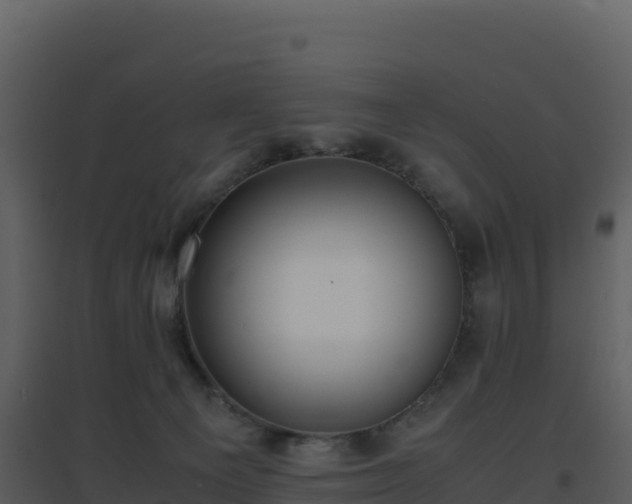 X0000096650129200802121141