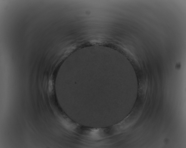 X0000096650130200802121141