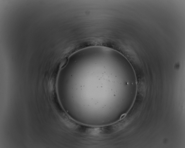 X0000096650131200802121141