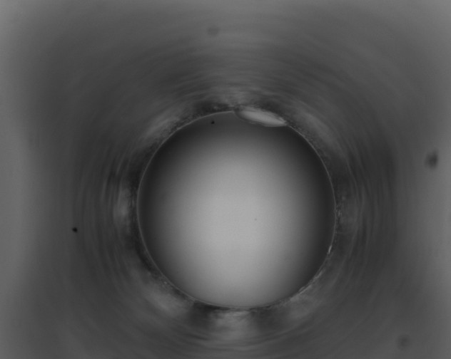 X0000096650132200802121141