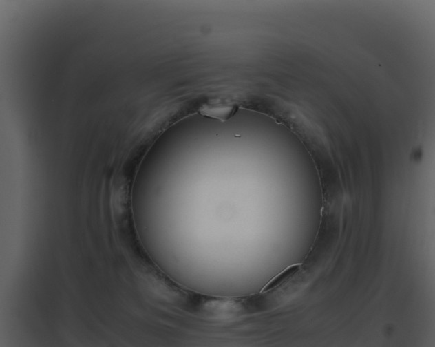 X0000096650133200802121141