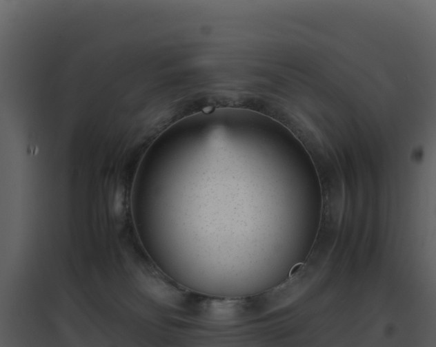 X0000096650134200802121141