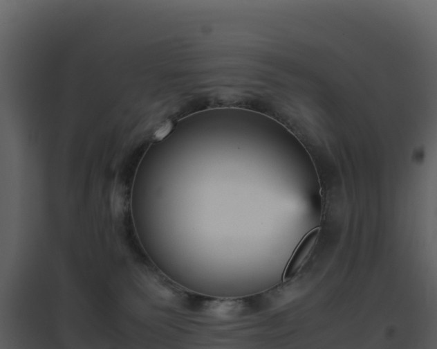 X0000096650135200802121141