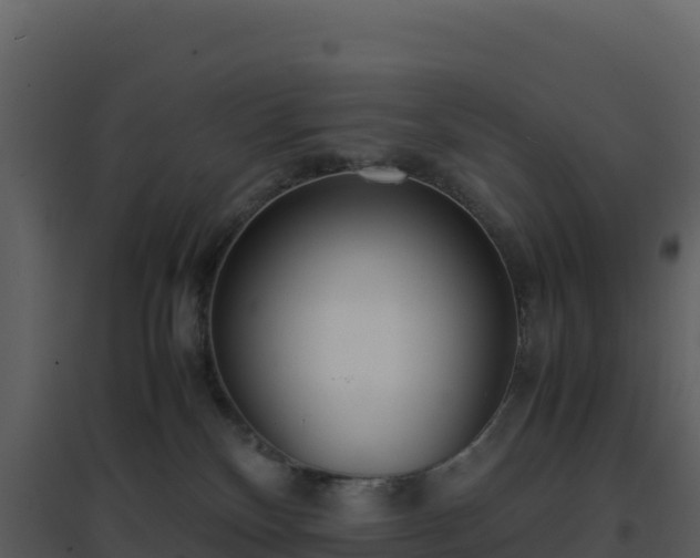 X0000096650136200802121141