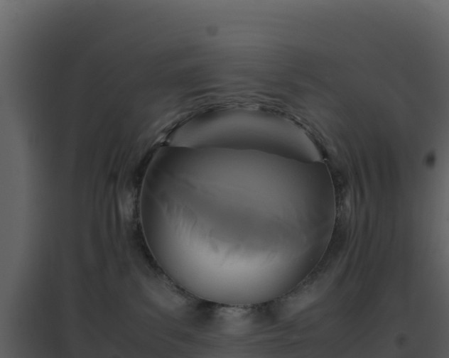 X0000096650139200802121141