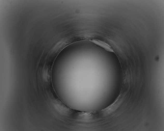 X0000096650140200802121141