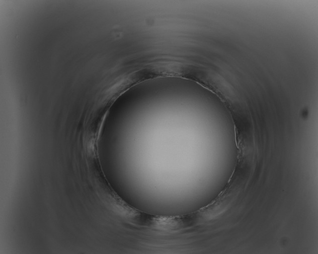 X0000096650141200802121141