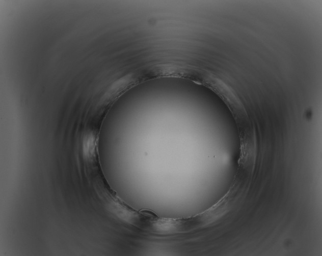X0000096650142200802121141
