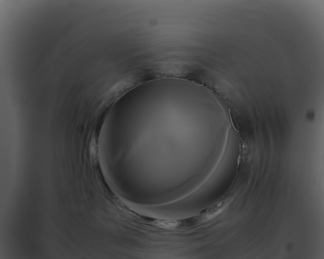 X0000096650143200802121141