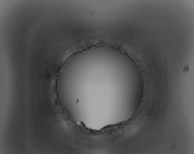 X0000096650144200802121141