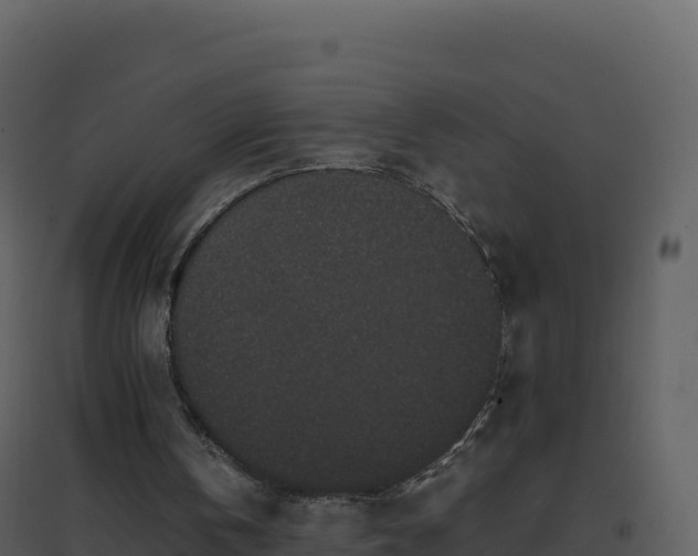 X0000096650146200802121140