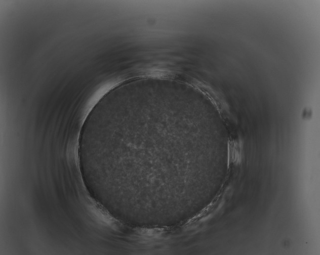 X0000096650147200802121140