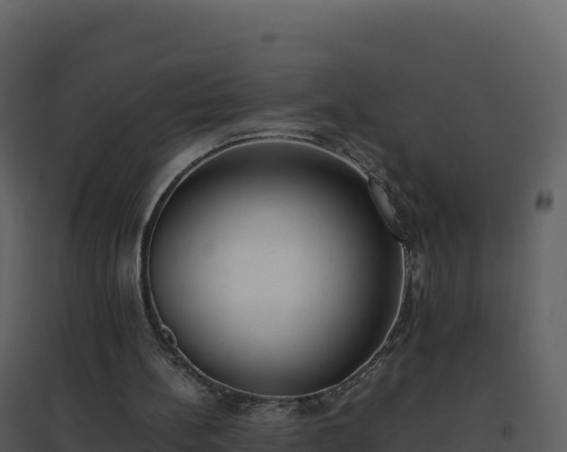 X0000096650148200802121140