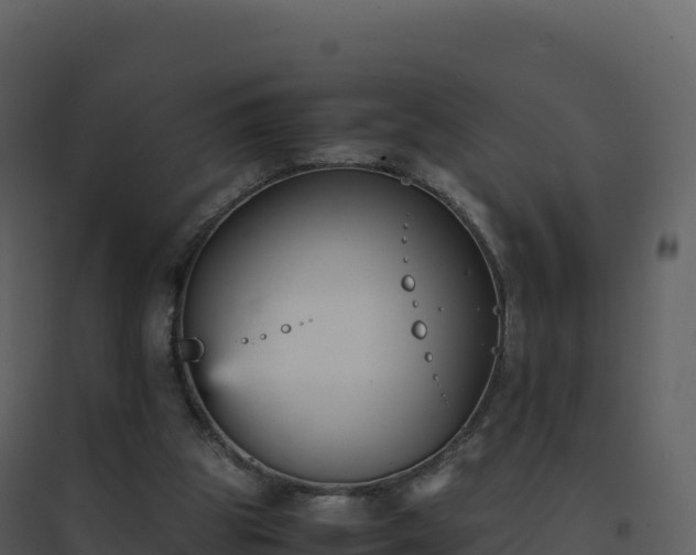 X0000096650153200802121140