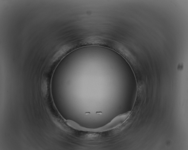 X0000096650158200802121140