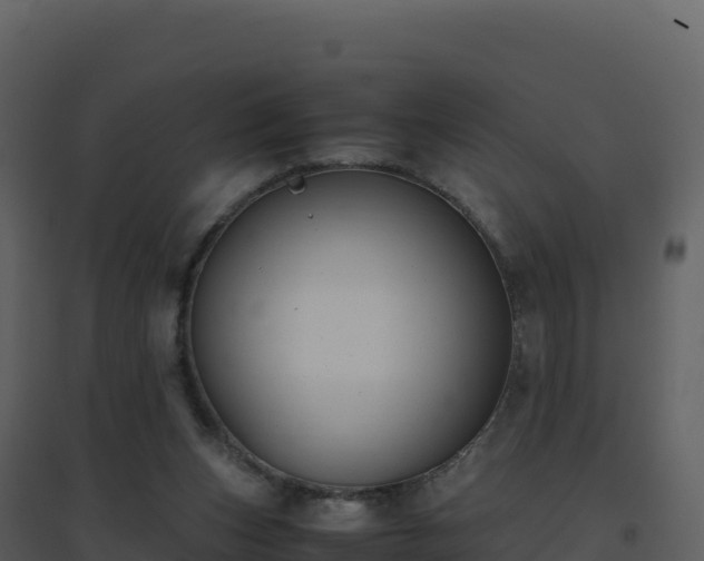 X0000096650159200802121140