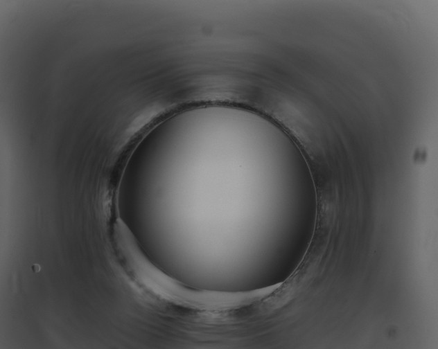 X0000096650160200802121140