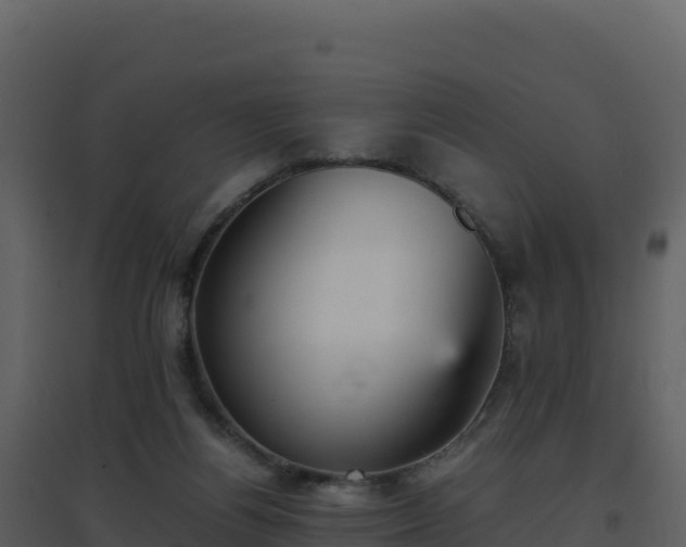 X0000096650164200802121140