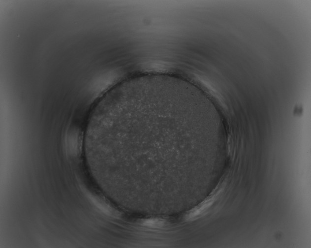 X0000096650168200802121140
