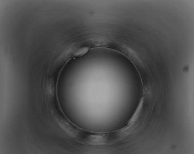 X0000096650170200802121140