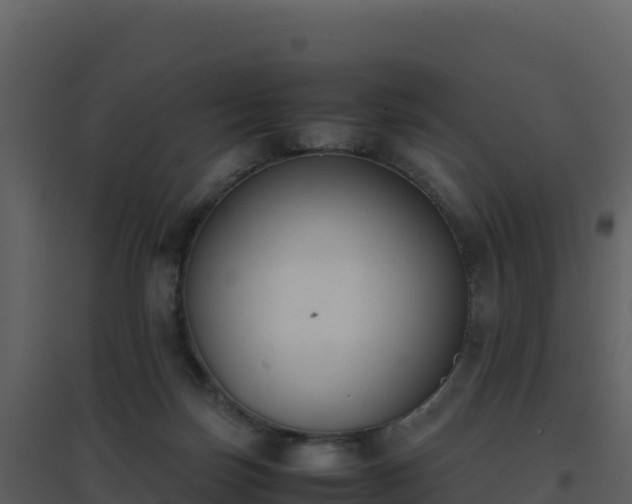 X0000096650171200802121140