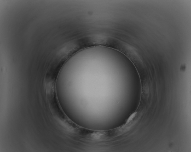 X0000096650172200802121140