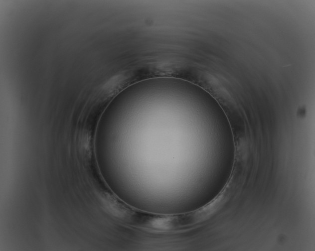 X0000096650178200802121140