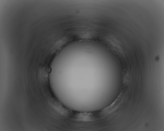 X0000096650179200802121140