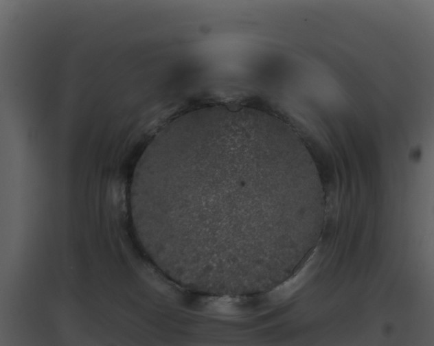 X0000096650182200802121141