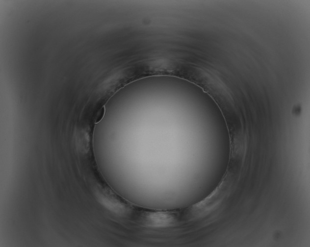 X0000096650183200802121141
